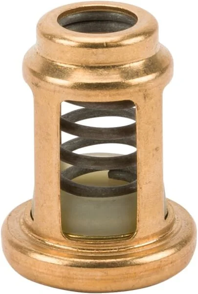 Fpt Industrial - 4896410FPT - Valvola pressione olio