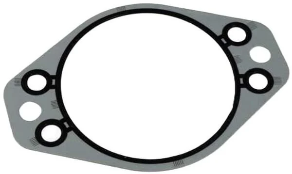 Fpt Industrial - 4896897FPT - Guarnizione