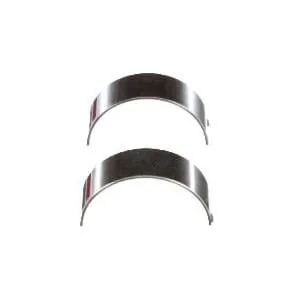 Fpt Industrial - 500055463FPT - Cuscinetto di biella 0.25