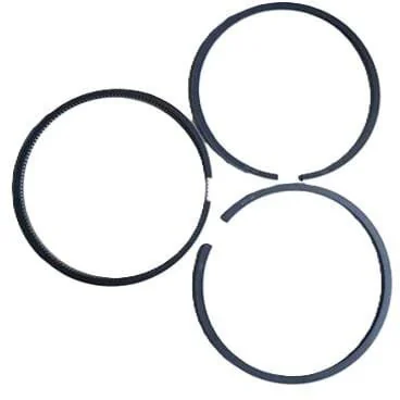 Fpt Industrial - 500055470FPT - Serie di fasce elastiche standard