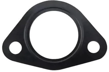 Fpt Industrial - 500343518FPT - Guarnizione