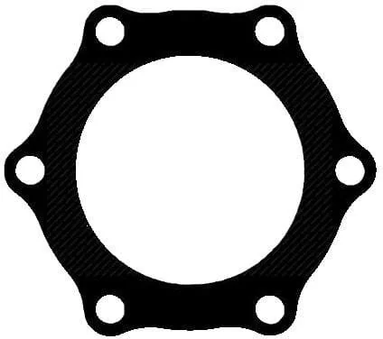 Fpt Industrial - 500387050FPT - Guarnizione piatta motore