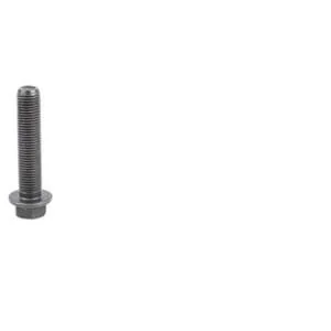 Fpt Industrial - 504015229FPT - Bullone biella