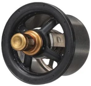 Fpt Industrial - 504096443FPT - Termostato