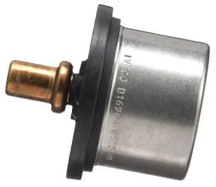 Fpt Industrial - 504096443FPT - Termostato