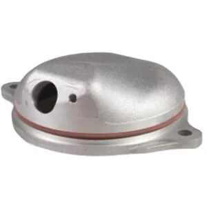 Fpt Industrial - 504116671FPT - Alloggiamento coperchio