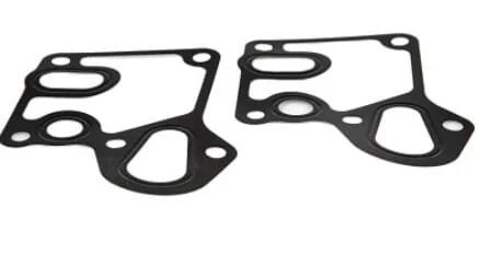Fpt Industrial - 504235816FPT - Guarnizione motore piatta