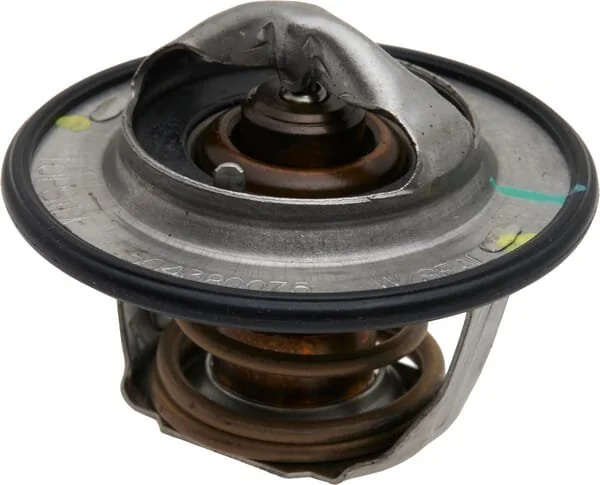 Fpt Industrial - 504380075FPT - Termostato