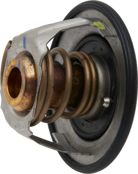 Fpt Industrial - 504380075FPT - Termostato