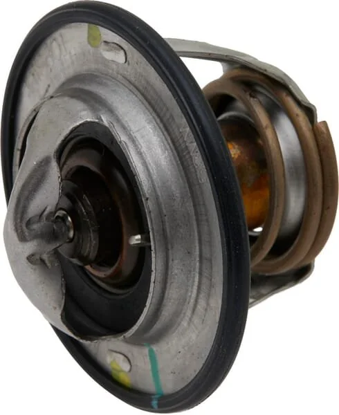 Fpt Industrial - 504380075FPT - Termostato