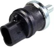 Fpt Industrial - 504386258FPT - Sensore pressione olio