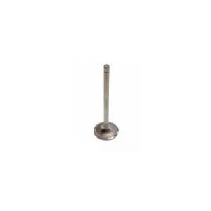 Fpt Industrial - 504387778FPT - Valvola di aspirazione