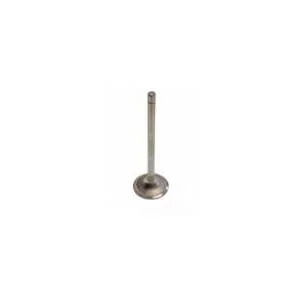 Fpt Industrial - 504387779FPT - Valvola di scarico