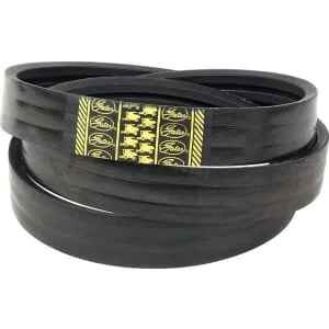 Gates - 30240324261 - Cingia V unita 3B x 2910 La