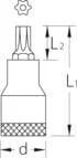 Gedore - ITX19BT50 - Inserto per chiave a bussola Torx 1/2 pollici