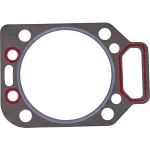 Glaser Dana - 1756442N - Guarnizione testa cilindri