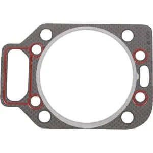 Glaser Dana - 1756518N - Guarnizione, testata 1.3