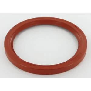 Glaser Dana - K306765N - Paraolio posteriore David Brown