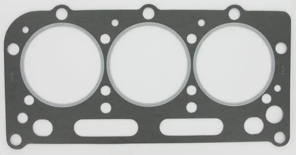 Glaser Dana - K956672N - Guarnizione testa cilindri David Brown