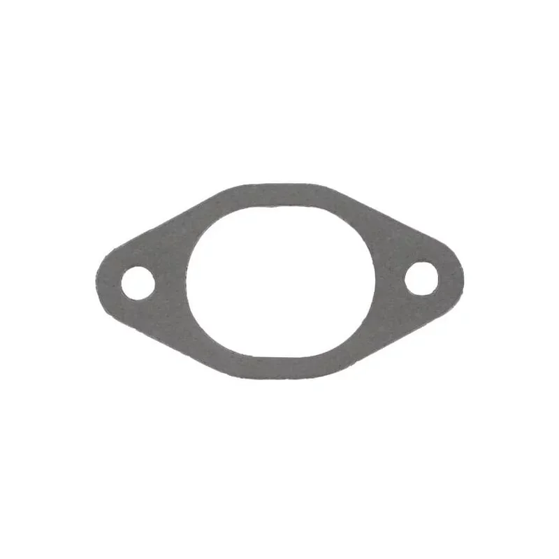 Glaser Dana - R44374N - Guarnizione collettore