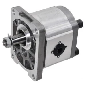 Gopart - GP2016D4030C18E - Pompa a ingranaggi Gr2 D C18E