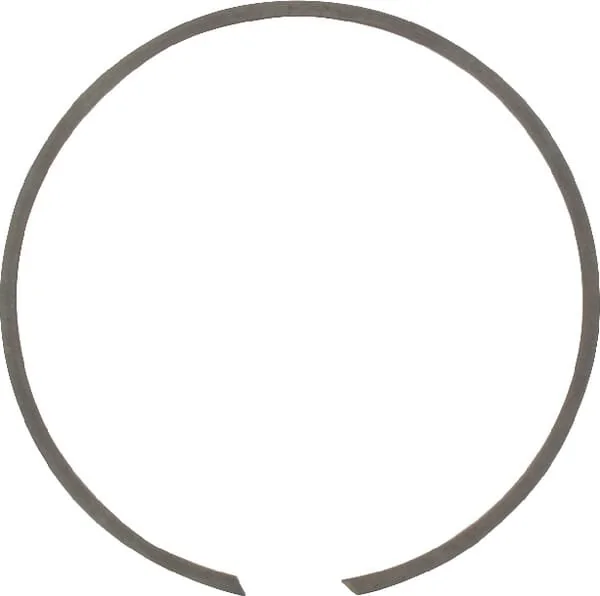 IDC® - BR110 - Anello elastico interno 110x2.5mm ®