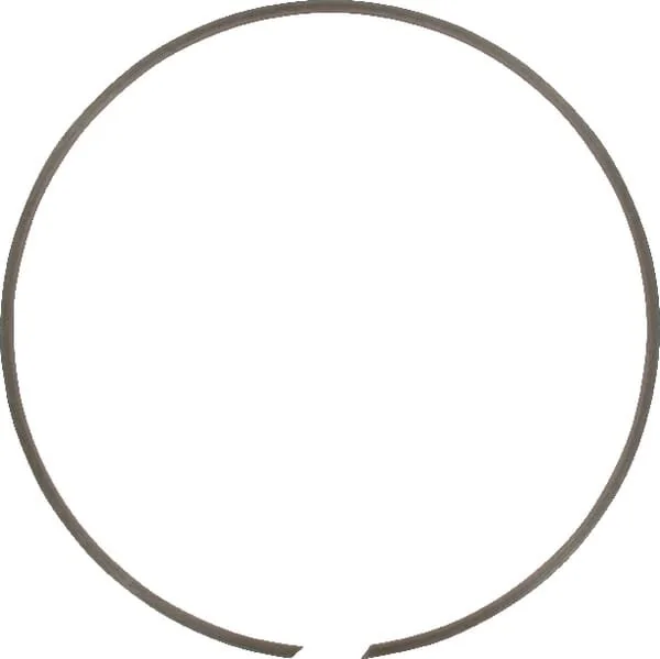 IDC® - BR250 - Anello elastico interno 250x3mm ®