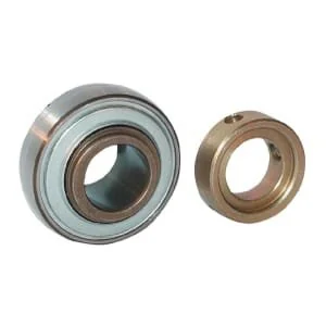 Ina