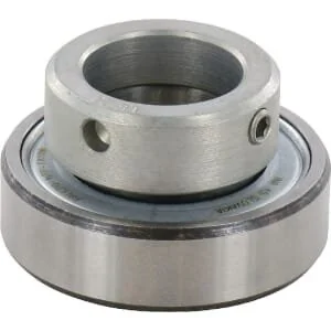 Ina - RALE20NPPFA106 - Inserto cuscinetto INA/FAG