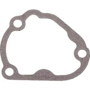 Kawasaki - 110602198 - Guarnizione carburatore