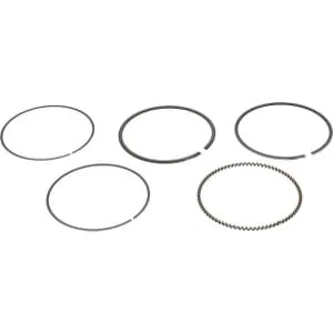Kawasaki - 130080569 - Serie di fasce elastiche