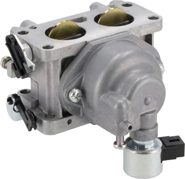Kawasaki - 150041009 - Assieme carburatore