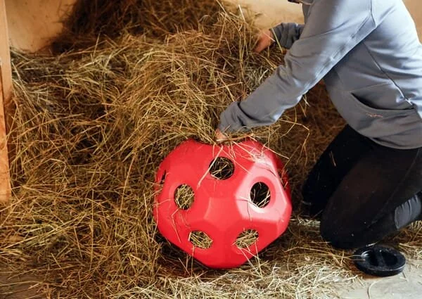 Kerbl - 3210386KER - Palla da gioco per l'alimentazione rossa per cavalli