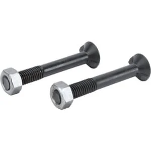 Kramp - TB20291 - Confezione di bulloni 2x 2N e dadi