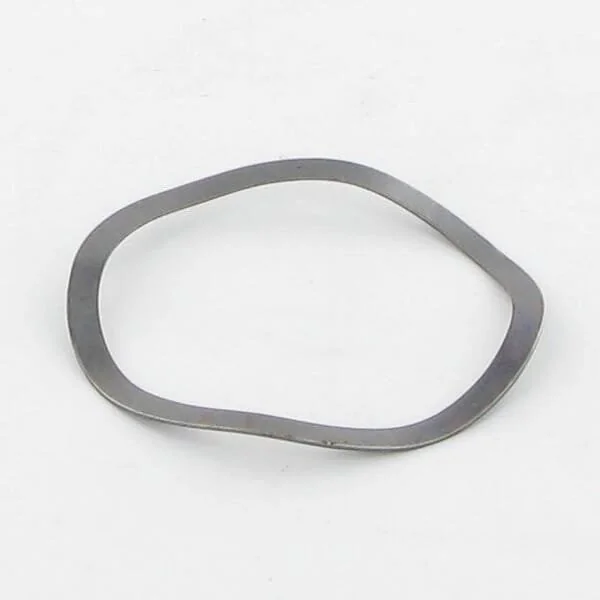 Lely - 9104900136 - Rondella elastica