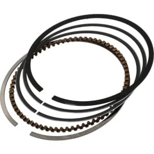 Loncin - 1300701870001 - Serie di fasce elastiche