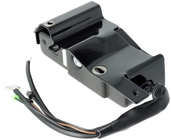 Loncin - 2710500020002 - Controllo scatola