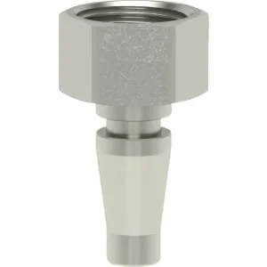 Lüdecke - ESBI38NIS - Cono maschio con filetto femmina BSP