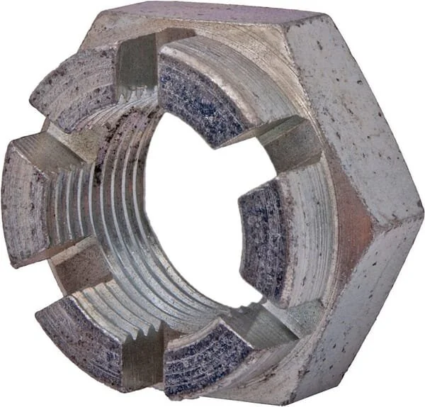 Maschio - B00851527R - Dado