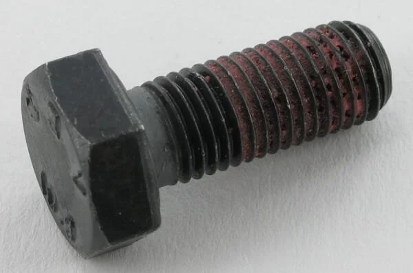 Maschio - F01010246R - Bullone x25