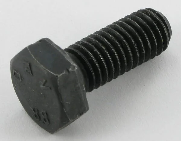 Maschio - F01020436R - Bullone G B