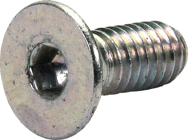 Maschio
