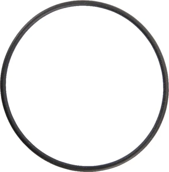 Maschio - F03010684R - Anello OR