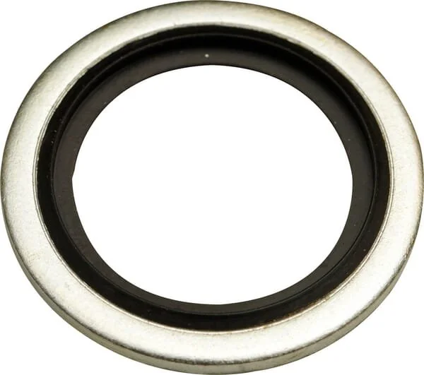 Maschio - F03151370R - Rondella