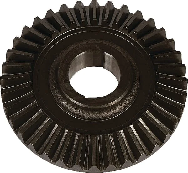Maschio