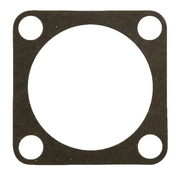 Maschio - M10100308R - Guarnizione