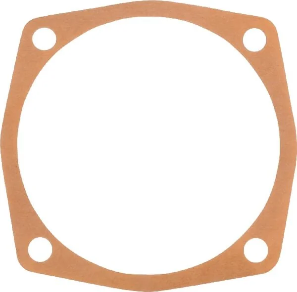 Maschio - M24100123R - Guarnizione 0.1mm