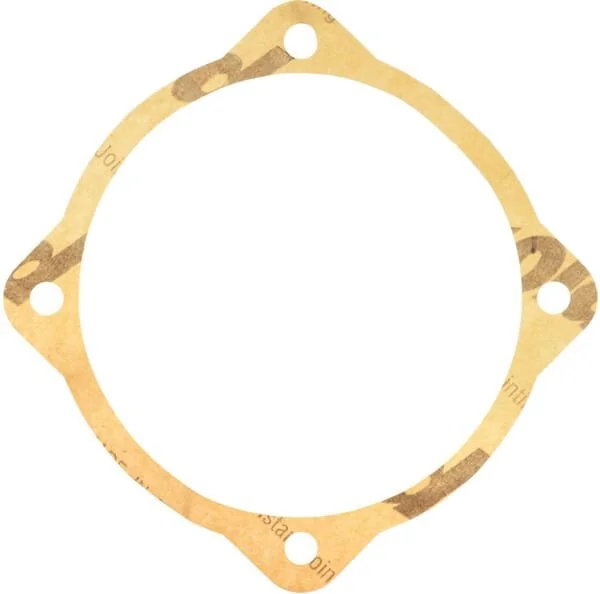 Maschio - M48000109R - Guarnizione 0.1mm