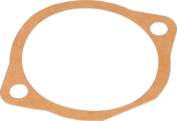 Maschio - M66100125R - Guarnizioni 0,1