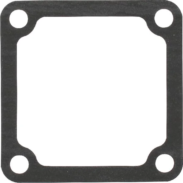 Massey Ferguson AGCO - 3641020M1 - Guarnizione collettore di aspirazione